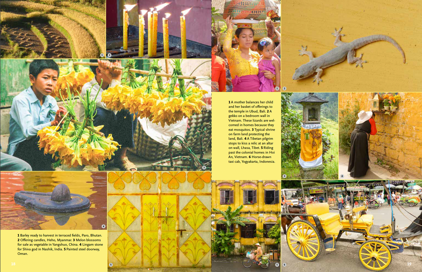 Colors of Asia: A Visual Journey